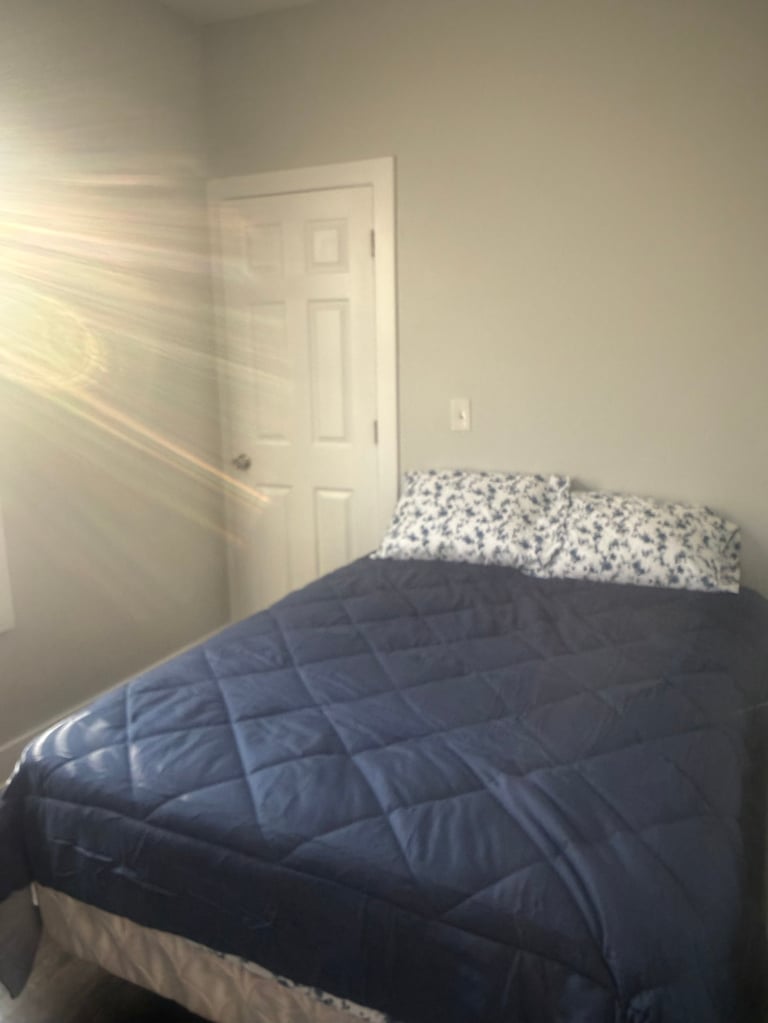 Bedroom with a bed covered in a dark blue quilted comforter and patterned pillows, with sunlight streaming through a window and a white door visible in the background